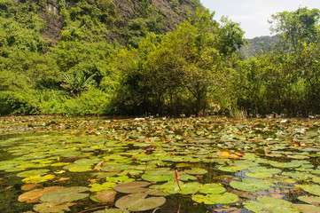 Tour en un bote de remos llamado sampán por el rio Ngo Dong en Tam Coc, provincia de Ninh Binh, Vietnam