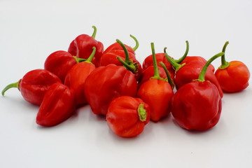 Scotch Bonnets
