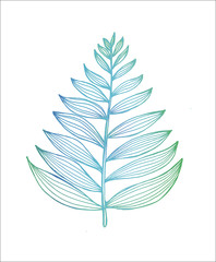 Fototapeta premium Color gradient picture of a fractal leaf. Branch of a fern