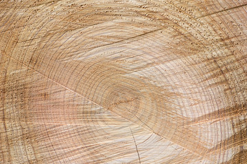 Wood sawn in half and photographed as a background.