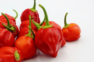 Scotch Bonnets