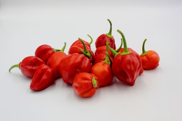 Scotch Bonnets