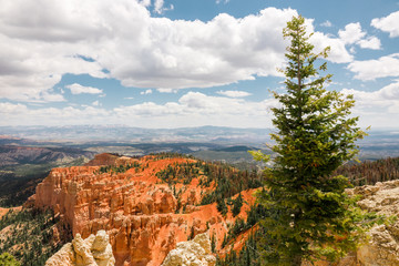 Rainbow Point view at Bryce Canyon National Park