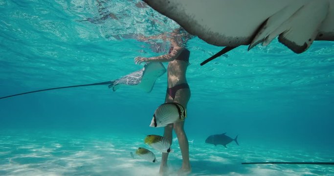 Beautiful woman swimming with stingrays