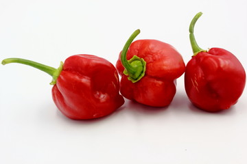 Scotch Bonnets