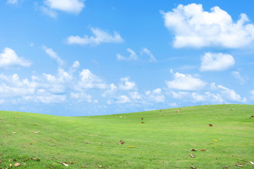 Obraz premium Green grass field with blue sky and clouds.