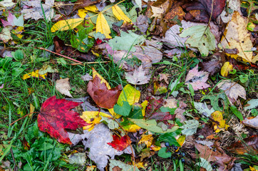 Fall along the North Carolina section of the Blue Ridge Parkway.