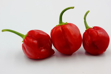 Hot Chilli Peppers 