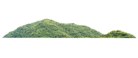Fotobehang rock mountain hill with  green forest isolate on white background © lovelyday12