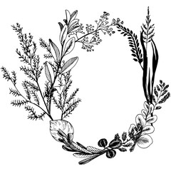 Wild herbs and flowers painted black line.