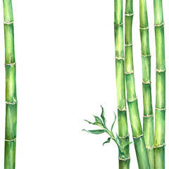 Fototapeta na wymiar Composition of green bamboo 1_4 stems