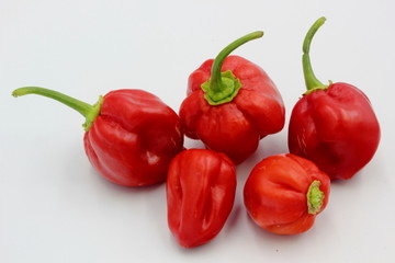 Scotch Bonnets