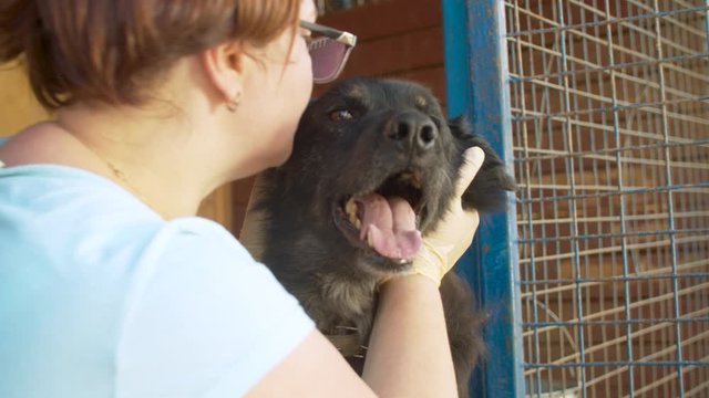 Woman volunteer and shaggy mongrel dog