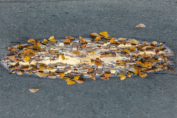 Bright yellow and orange leaves on the water surface of the puddle on gray asphalt with reflection of sun sunset and blue sky in autumn