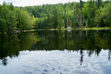 Fototapeta na wymiar Nationalpark Bayrische Wald von Waldhäuser bis Neuschönau und rund um den Berg Lusen 1373m