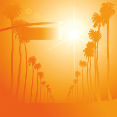 Hitze und Sonne über einer aufgeheizten Straße mit Palmen