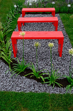 A garden design with picture showing bright red benches with Agapanthus