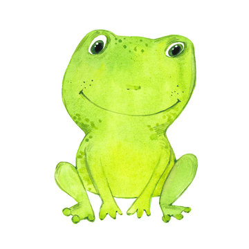 watercolor funny frog