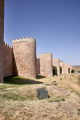 Views of the wall of Avila © luismicss