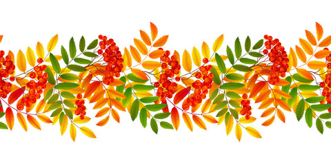 Bright colourful rowan berries and leaves autumn fall vector seamless border - obrazy, fototapety, plakaty