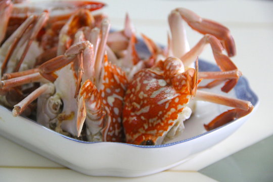 Fresh orange crab on a plate