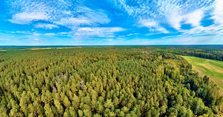 Beautiful panoramic aerial drone view to Bialowieza Forest - one of the last and largest remaining...