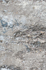 Bodentextur