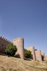 Views of the wall of Avila © luismicss