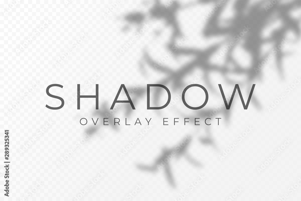 Aufkleber shadow overlay effect. transparent soft light and shadows from plant branches, leaves and foliage. m