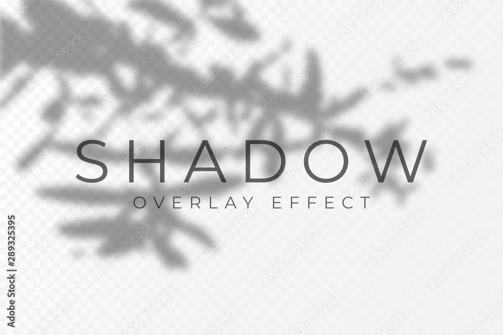Aufkleber shadow overlay effect. transparent soft light and shadows from plant branches, leaves and foliage. m