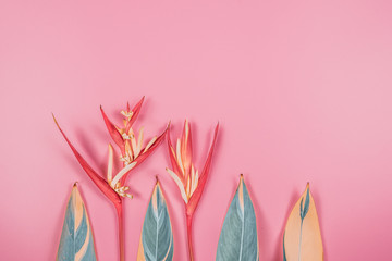 tropical flowers and summer concept from colorful flat lay and web banner design from heliconia with beauty leaf on pink vintage background