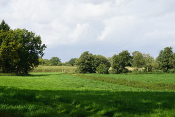 Ostseelandschaft am Dummersdorfer Ufer in der Lübecker Bucht