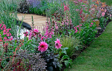 Obraz premium A colourful pink flower border with Foxgloves and Dahlia around decking and a garden pond