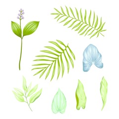 Beautiful vintage hand drawn floral vector