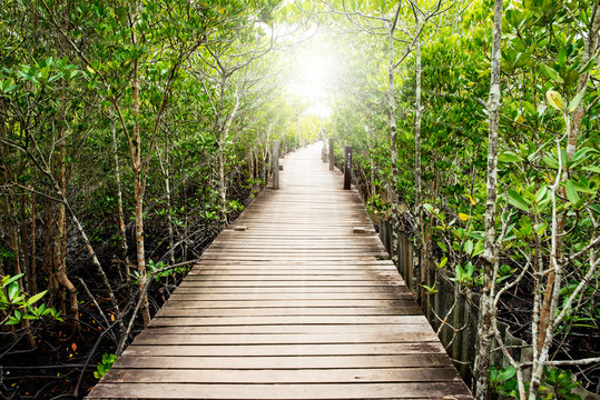 A wooden bridge in Seashore forest in Thailand. © KE.Take a photo