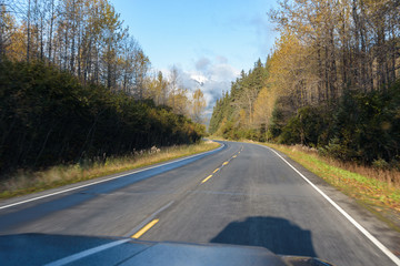 Road leading to Exit Glacier, Kenai Fjords National Park, Seward, Alaska, United States