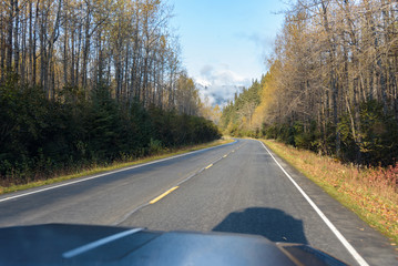 Road leading to Exit Glacier, Kenai Fjords National Park, Seward, Alaska, United States