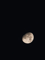 Moon