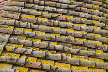 Old roof