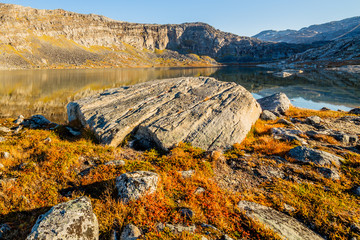 Orange autumn greenlandic  tundra landscape with big stone and lake in the background, Nuuk, Greenland - obrazy, fototapety, plakaty