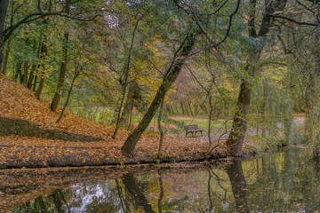 jesienny widok na staw w parku, pusta ławka, kolorowe liście na drzewach i ścieżce © Jarek Witkowski