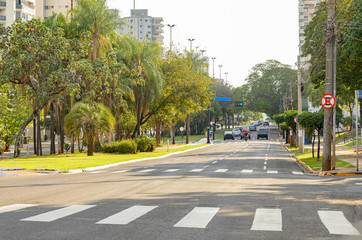 Lined-tree avenue with few cars on the street. Large avenue of a green city. Afonso Pena avenue at Campo Grande - MS, Brazil.