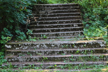 The old staircase. Vintage staircase in the park. Photo background with an old concrete staircase in an abandoned park.