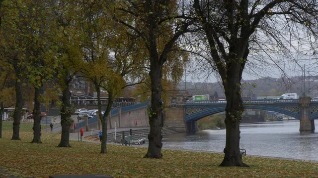 Autumn Trees By Trent Bridge By The Nottingham City Ground