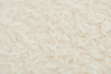 close up view of uncooked organic white rice