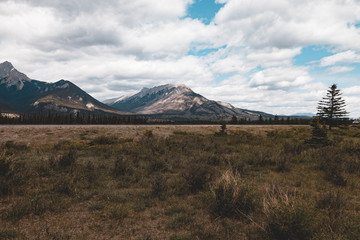 Canada