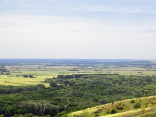 Fototapeta premium forest in the floodplain