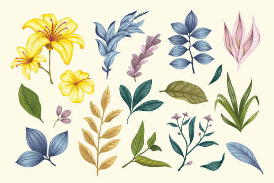 Beautiful vintage hand drawn floral vector