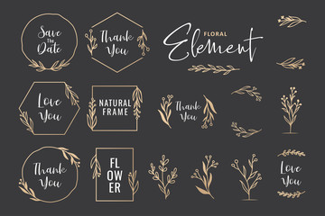 Beautiful hand drawn floral wreath vector collection