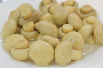Canned mushrooms on white plate. Ingredient for cooking as various menu.